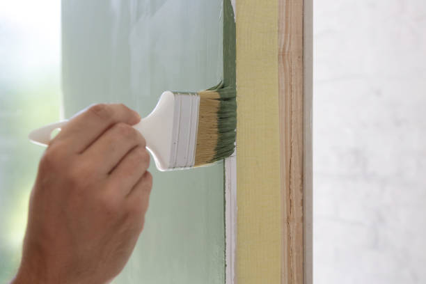 Best Basement Mold Removal  in Cerro Gordo, IL