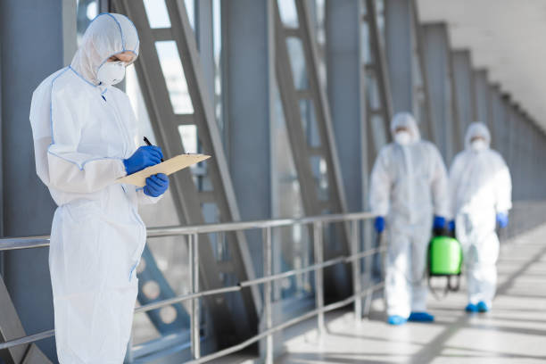 Best Mold Removal for HVAC Installations  in Cerro Gordo, IL