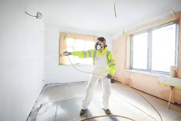 Best Mold Damage Restoration  in Cerro Gordo, IL
