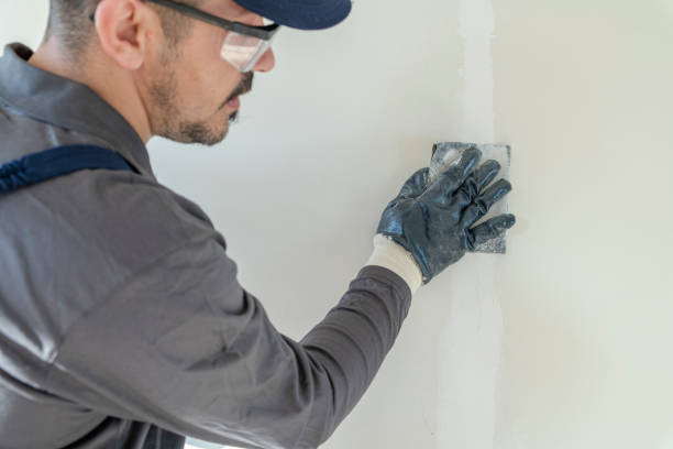 Best Mold-Related Health Consultation  in Cerro Gordo, IL