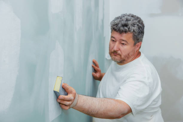 Best Mold Remediation for Healthcare Facilities  in Cerro Gordo, IL