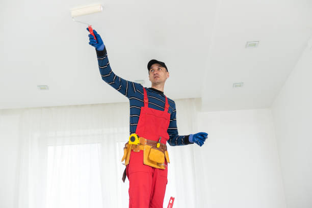 Best Comprehensive Air Testing for Mold Contaminants  in Cerro Gordo, IL
