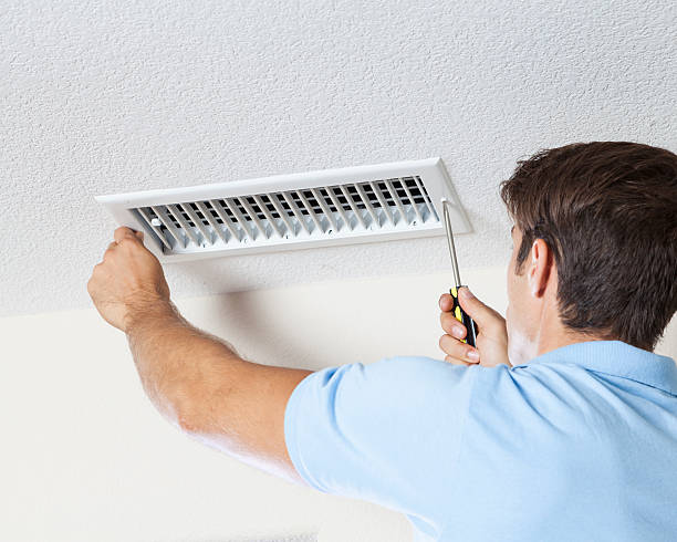 Best Water Damage & Mold Remediation  in Cerro Gordo, IL
