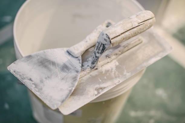 Best Mold Prevention Services  in Cerro Gordo, IL